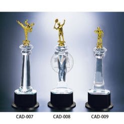 CAD-007009 水晶燈光獎盃製造