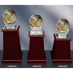 CAM-001003 水晶木質獎座訂製