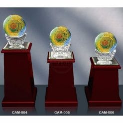 CAM-004006 水晶木質獎座訂做