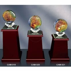 CAM 水晶木質獎盃製造