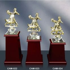 CAM-022024 水晶木質獎座製作