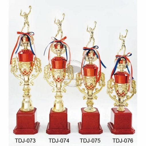 Volleyball Trophies TDJ-073076