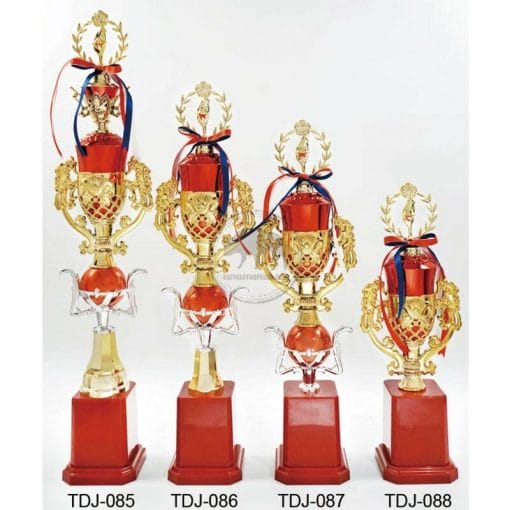 Taiwan Trophies TDJ-085088