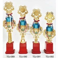 Gift Trophies TDJ-089092