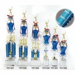 Volleyball Trophies TDT-027032