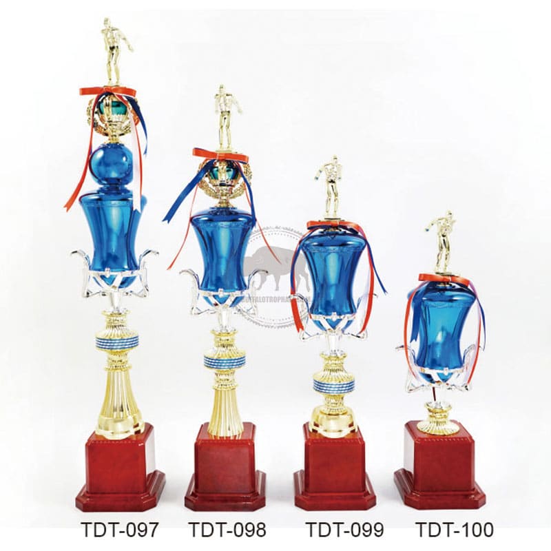 Swimming Trophies TDT-097100