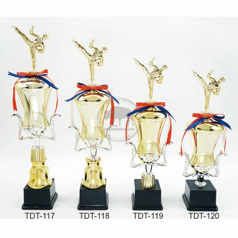 Taekwondo Trophies TDT-117120
