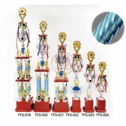 TFS-019024 Taiwan Trophies