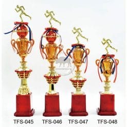 TFS 跑步獎盃製作