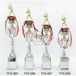Baseball Trophies TFS-065068