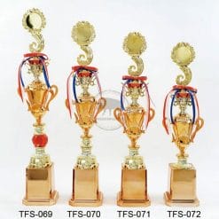 公版獎盃 TFS-069072