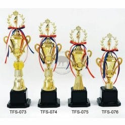 TFS-073076 Taiwan Trophies