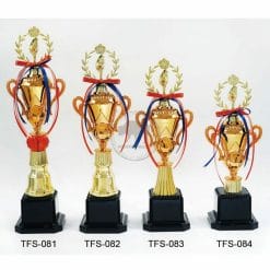 TFS-081084 Taiwan Trophies