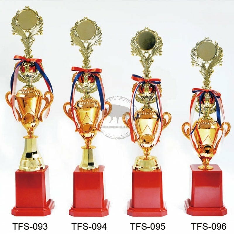 TFS 第一名獎盃