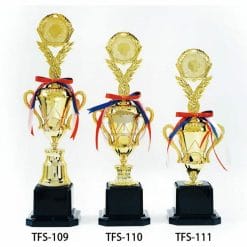 TFS-109111 Skill Trophies