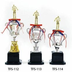 TFS-112114 Perfect Trophies