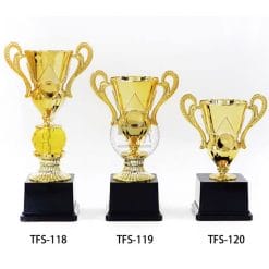 TFS-118120 Customized Trophies