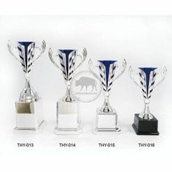 THY-013016 Racing Trophies