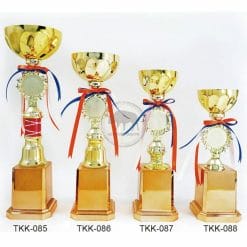 TKK-085088 Picture Trophies