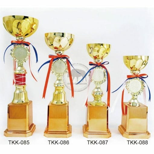 Picture Trophies TKK-085088