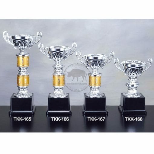Single-Post Shallow Open-Top Trophies 165 TKK-165168