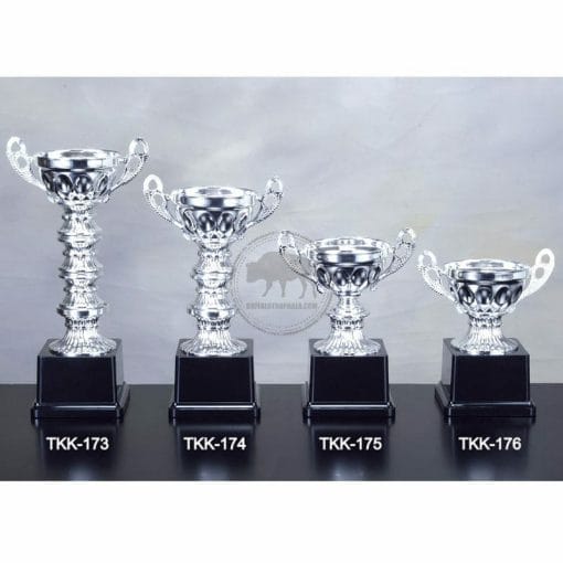 Single-Post Shallow Open-Top Trophies 173 TKK-173176