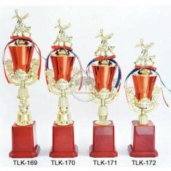 TLK-169172 Dance Trophies
