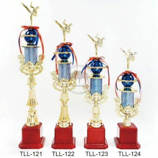 Taekwondo Trophies TLL-121124