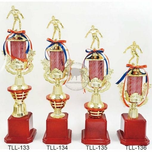 Soccer Trophies TLL-133136