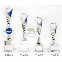TLM-013016 Sport Trophies