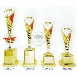 TLM-017020 Special Trophies