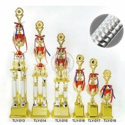 TLY-013018 Taiwan Trophies