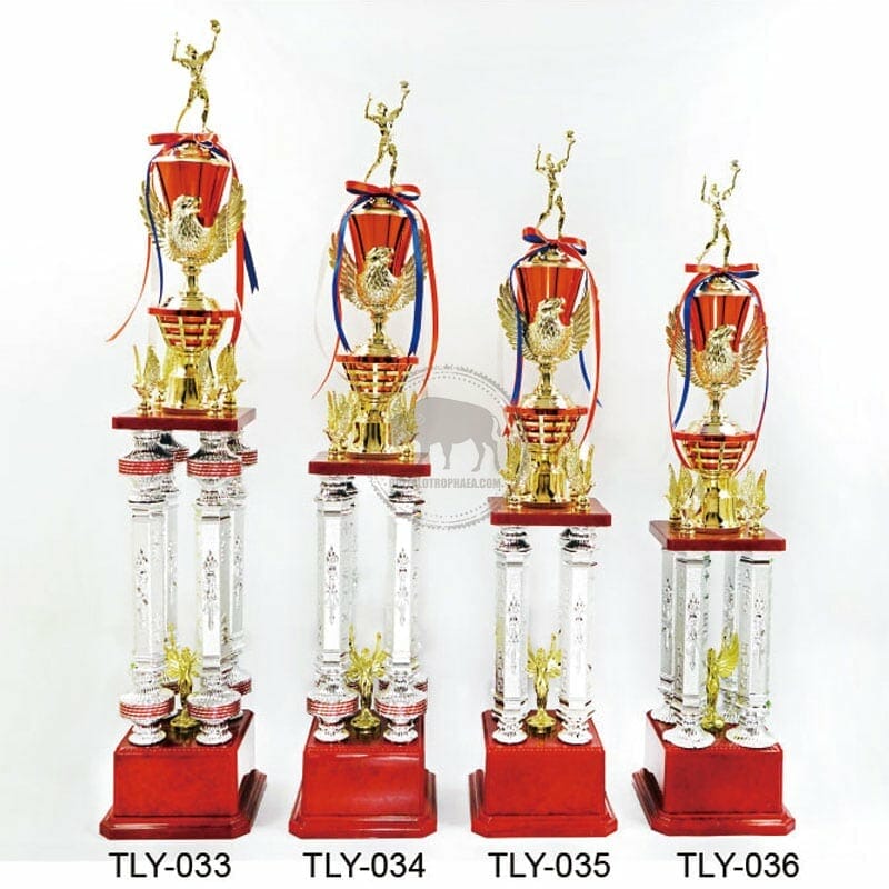 Volleyball Trophies TLY-033036
