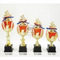 TLY-097100 Cycing Trophies