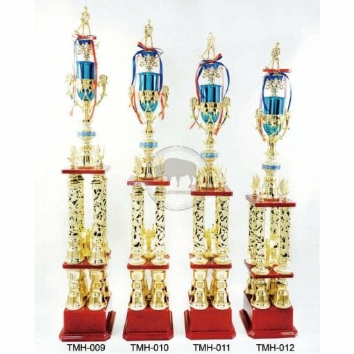 Cricket Trophies TMH-009012