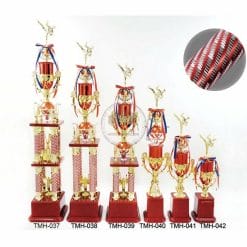 TMH-037042 Taekwondo Trophies