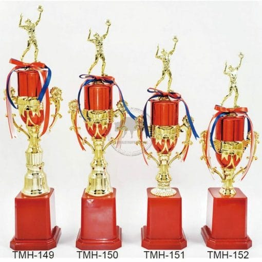 Volleyball Trophies TMH-149152