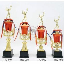 Volleyball Trophies TNJ-097100