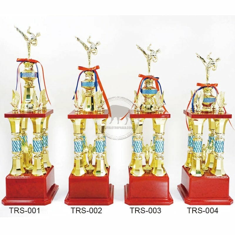 TRS-001004 Taekwondo Trophies
