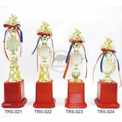 TRS-021024 Cycing Trophies