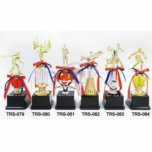 Small Trophies TRS-079084