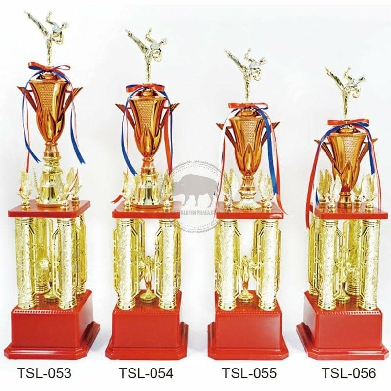 TSL-053056 Taekwondo Trophies