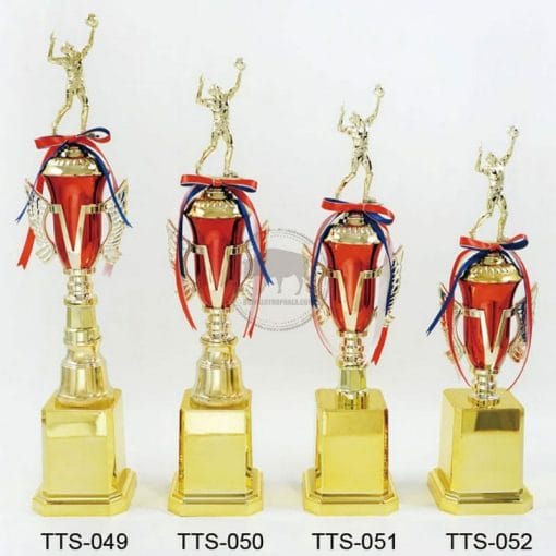 Volleyball Trophies TTS-049052