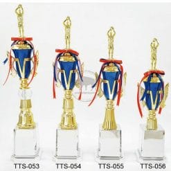 TTS 籃球獎杯