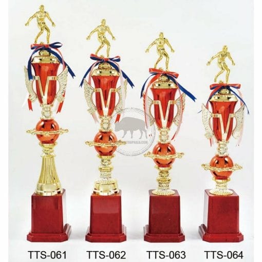 Soccer Trophies TTS-061064