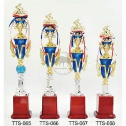 Cycing Trophies TTS-065068