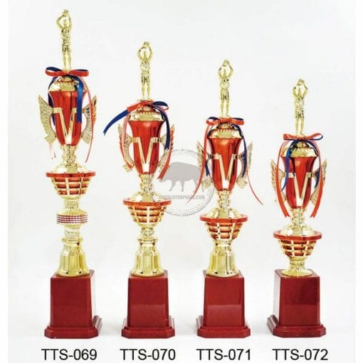 Basketball Trophies TTS-069072