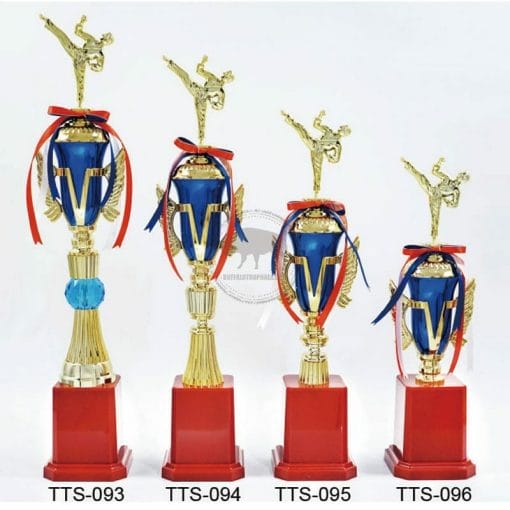 Taekwondo Trophies TTS-093096