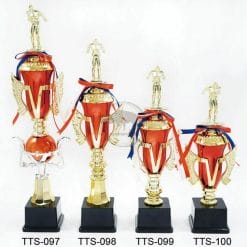 TTS 游泳獎盃設計