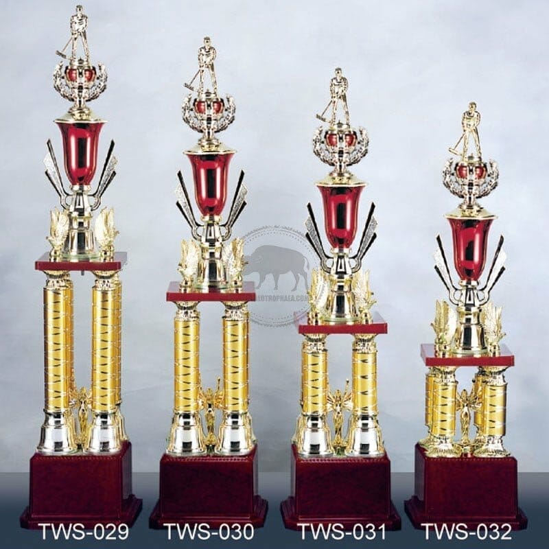 TWS-029032 Cricket Trophies